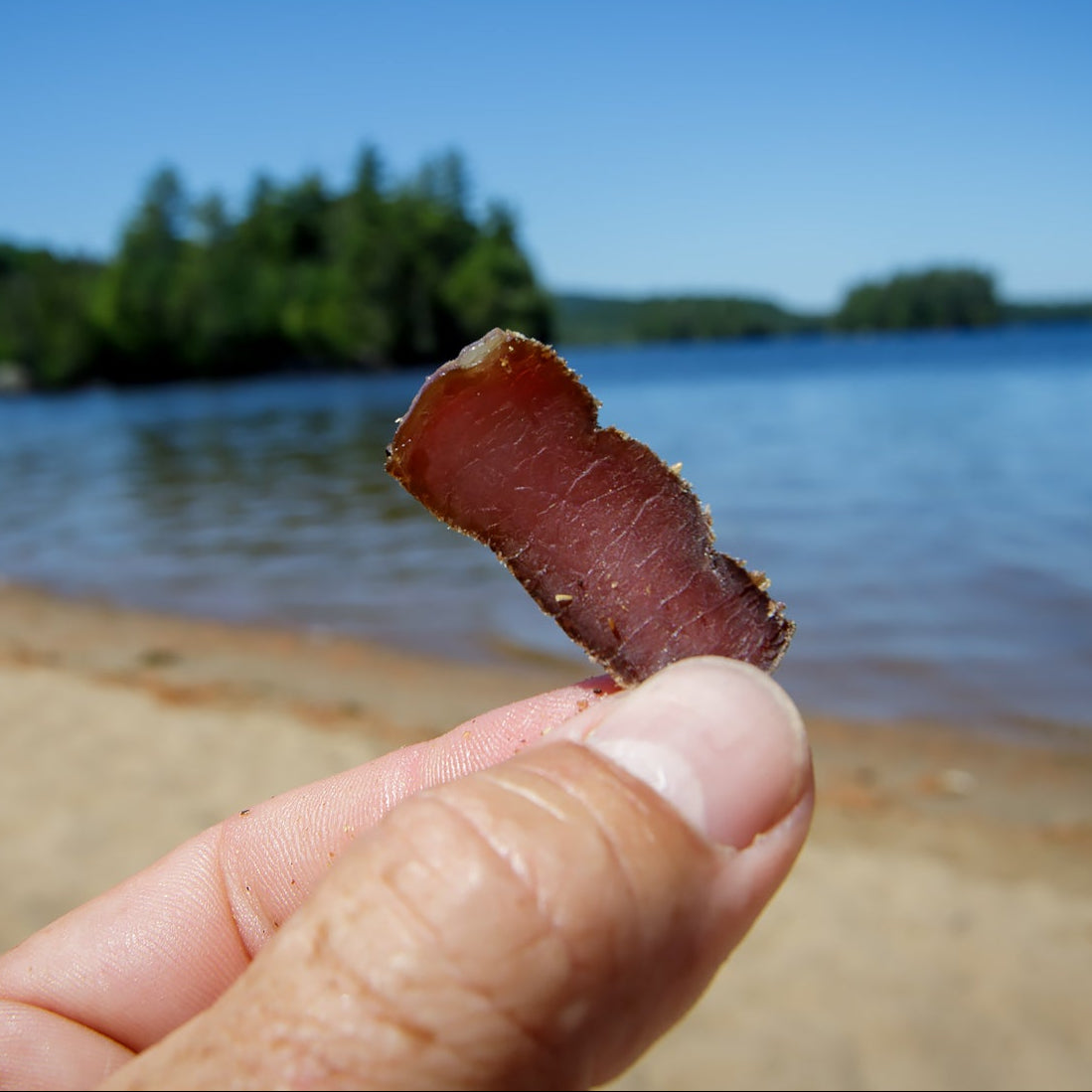 Hand holding a slice of lean dry biltong with a lake and trees in the background